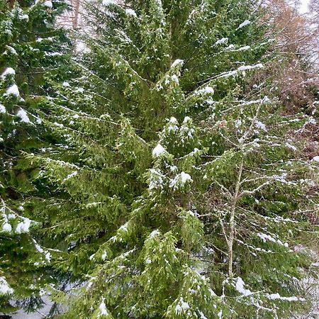 Appartamento Sulle Piste Folgarida Exterior foto