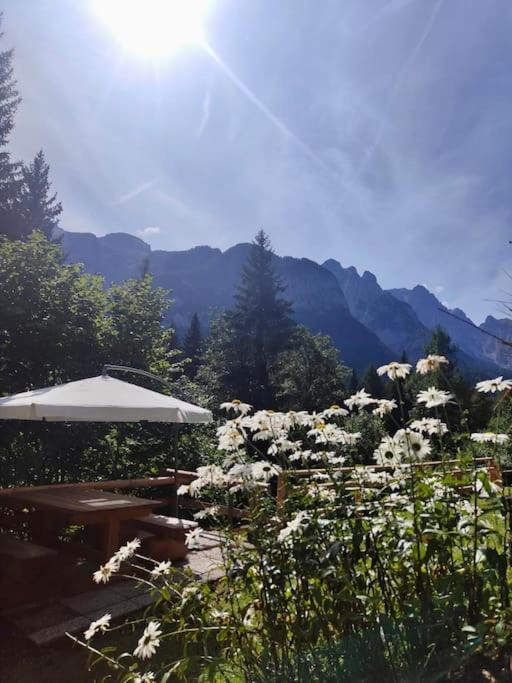 Appartamento Sulle Piste Folgarida Exterior foto